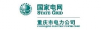 重庆市电力公司